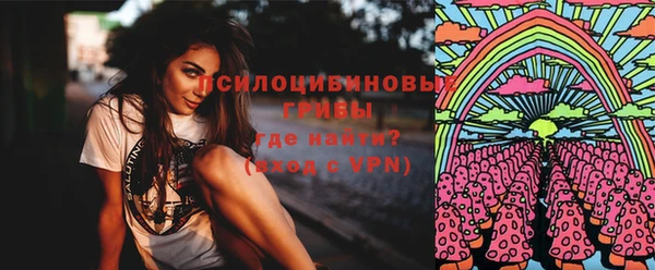 кокс Белокуриха